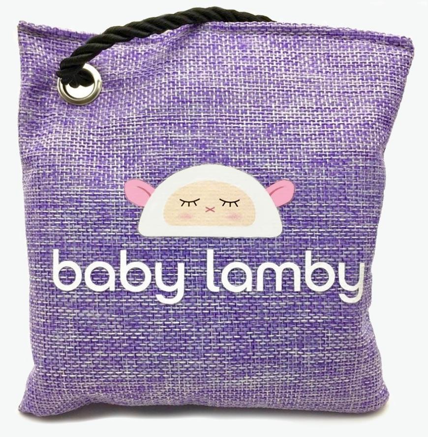 All Natural Air Purifying Bag Deodorizer in Purple