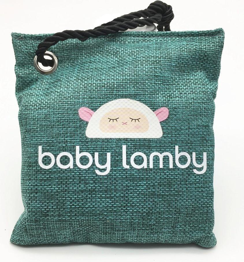 All Natural Air Purifying Bag Deodorizer in Teal