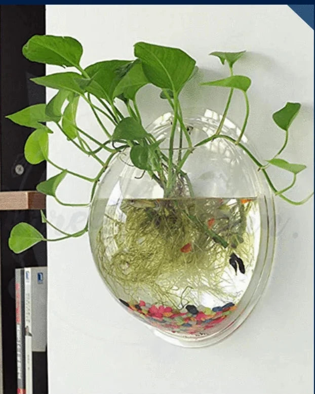 Modern Wall Hanging Bubble Plant Bowl