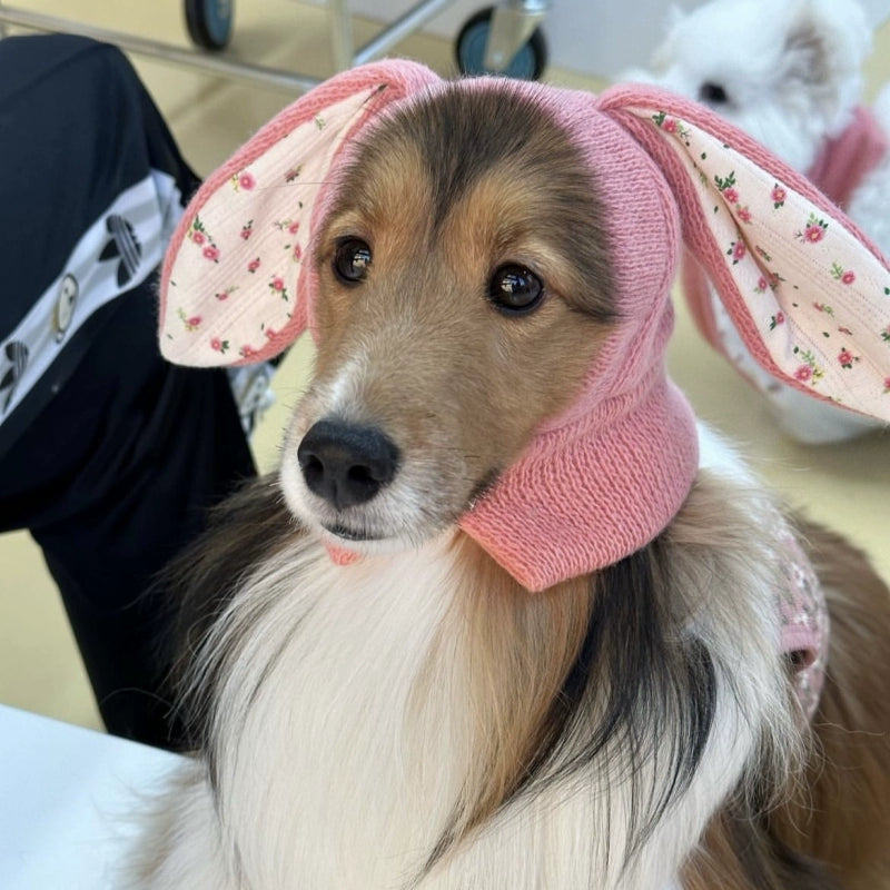 Pet Hat Autumn and Winter Warm Knitted Hat Casual Cute Rabbit Ears Headwear Dogs and Cats Break Neutral Pink