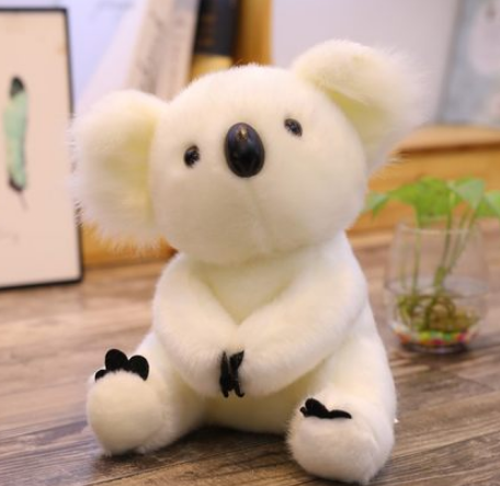 Buy Super Cute 12 inch Baby Koala Online Baby Lamby Shop for